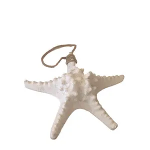 Star Fish - Small