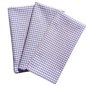Blue Gingham Napkins