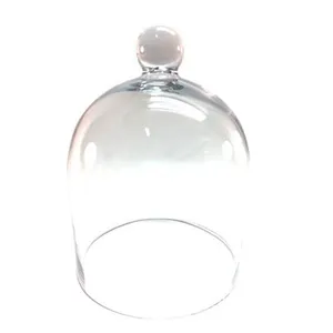 Clear Glass Cloche - Medium