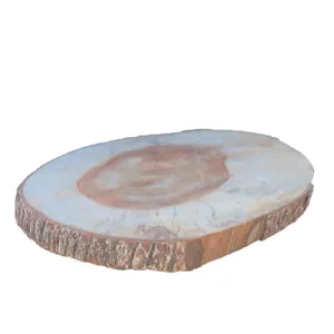 Tree Trunk Wedges