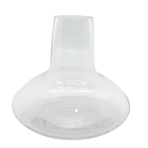Clear Glass Bulb Vase