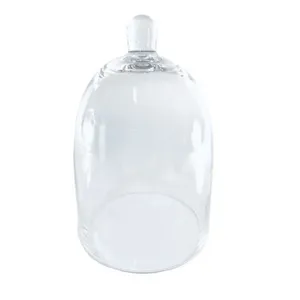 Clear Glass Cloche - Small