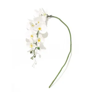 White Orchid Silk Blooms