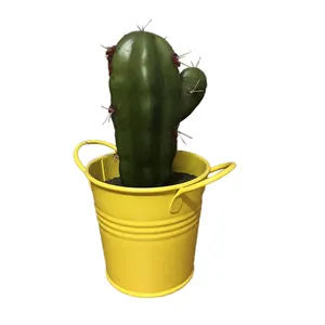 Yellow Potted Cactus
