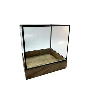 Clear Glass Fish Tank Vase on Wooden Base