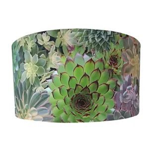 Round Succulent Shade - Medium