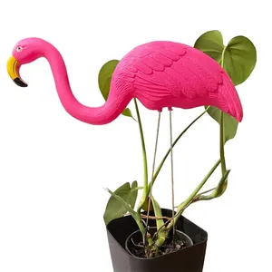 Ornamental Flamingo