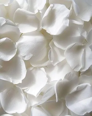 Rose Petals (Confetti) 