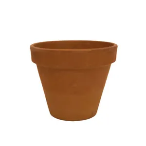 Terracotta Pots - Medium