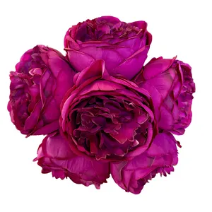Magenta Single Peony Silk Blooms
