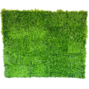 Greenary Wall 