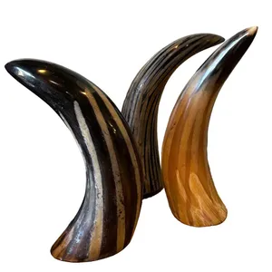Horns