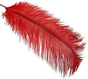 Red Ostrich Feathers