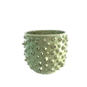 Green Thorny Pot