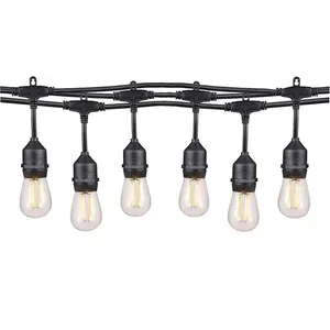 Festoon Lights - 15m