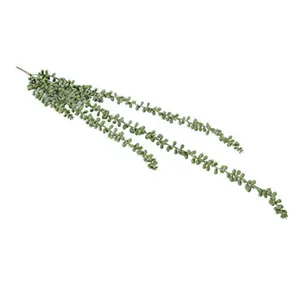 Pearl Succulent Strings SIlk Foliage