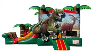 Dino Jumper & Waterslide Combo
