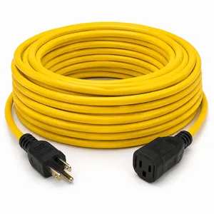 Rallonge électrique 100pi