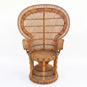 Vintage Boho Peacock Chairs