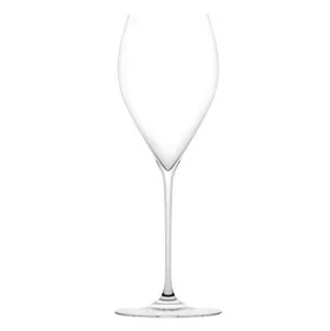 Plumm Champagne Glass