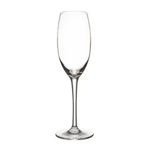 Plumm Polycarbonate Champagne Glass