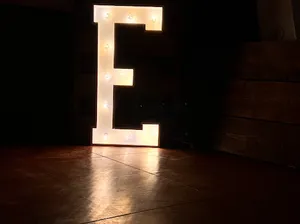 3ft marquee letter E