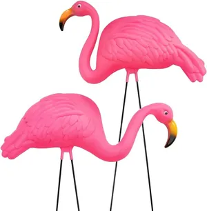 Pink flamingo