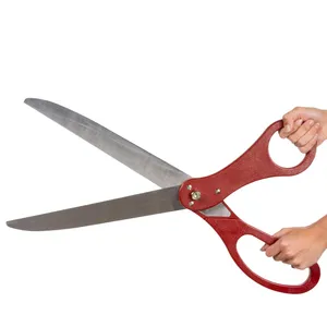 Scissors large