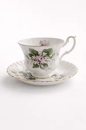 Tea cup and saucer 