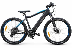 Electric Assist Bicycles