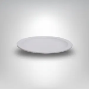 Plate- Plastic