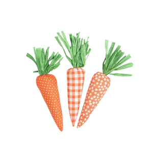 Set de 3 Zanahorias