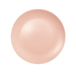Plato Grande Rosa Matte