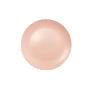 Plato Pequeño Rosa Matte