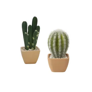 Suculentas Artificiales en Variedad de Estilos