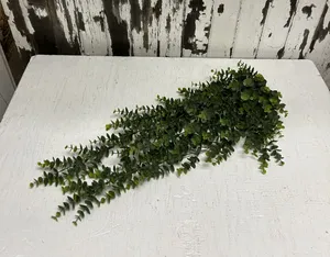 FLORAL: Boxwood bush