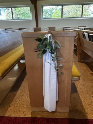 CHAIR/PEW DECOR: White chiffon & eucalyptus
