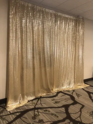 BACKDROP: Sequin drapery 12'H x 8-10'W