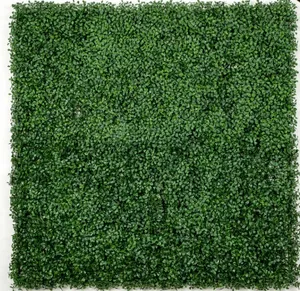 BACKDROP: Boxwood greenery wall 