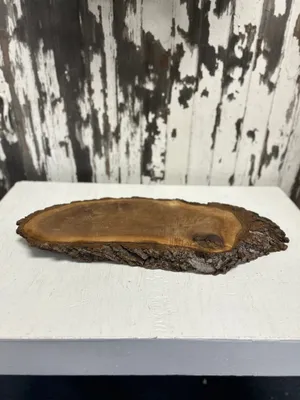 Wood slice: Oblong 