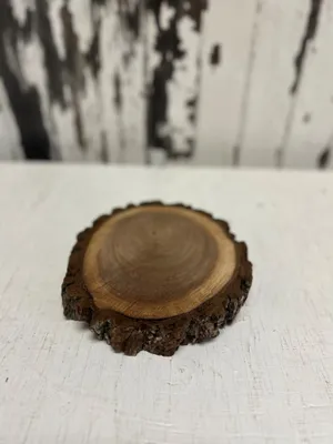 Wood slice: Small