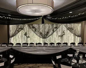 BACKDROP: White drapery & lights with sequin curtained drapes