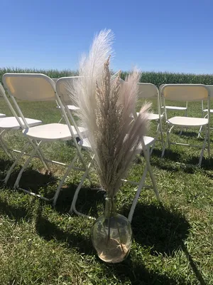 Pampas grass bottle arrangement