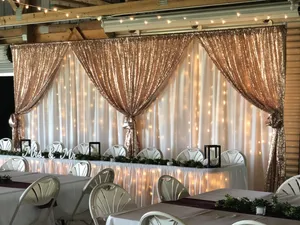 BACKDROP: White drapery & lights with sequin curtained