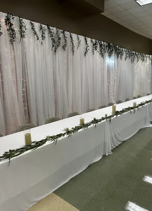 BACKDROP: White sheer drapery & lights 8-12'H