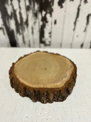 Wood slice: Large