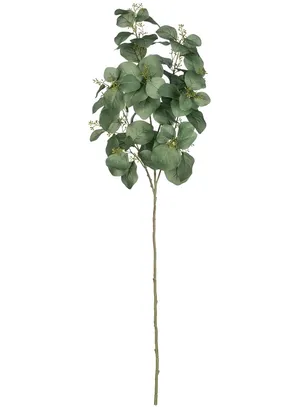FLORAL: Eucalyptus sprays