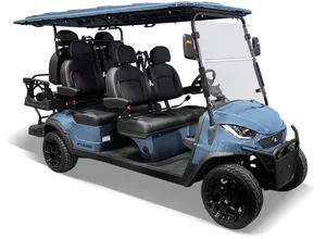  2025 Bintelli ActivEV Pulse Golf Cart - 6 Seater
