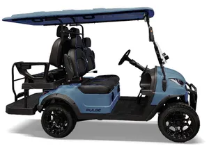 2025 Bintelli ActivEV Pulse Golf Cart - 4 Seater