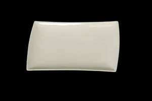 Specialty Rectangle Plates (dozen)